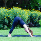 Illustration for article titled 10 Yoga Poses That Will Get Your Day off to the Right Start